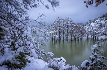 Кипарисовое озеро зимой
