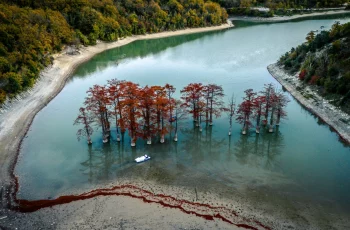 Красивое фото кипарисового озера