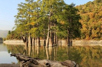 Кипарисовое озеро ранней осенью