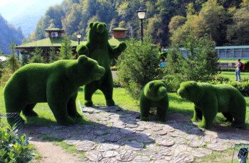Медведи в парке "Зелёная Планета"